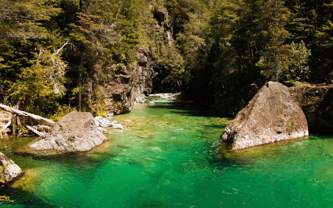 Descubre los 10 Mejores Campings en El Bolsón: Vive la Magia de la Patagonia Argentina