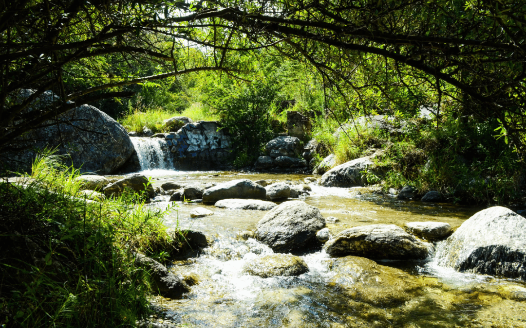 Qué Hacer en Córdoba: Lugares y Caminos Imperdibles para Disfrutar al Máximo